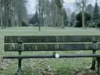 Baracuda-Where  Is The Love.