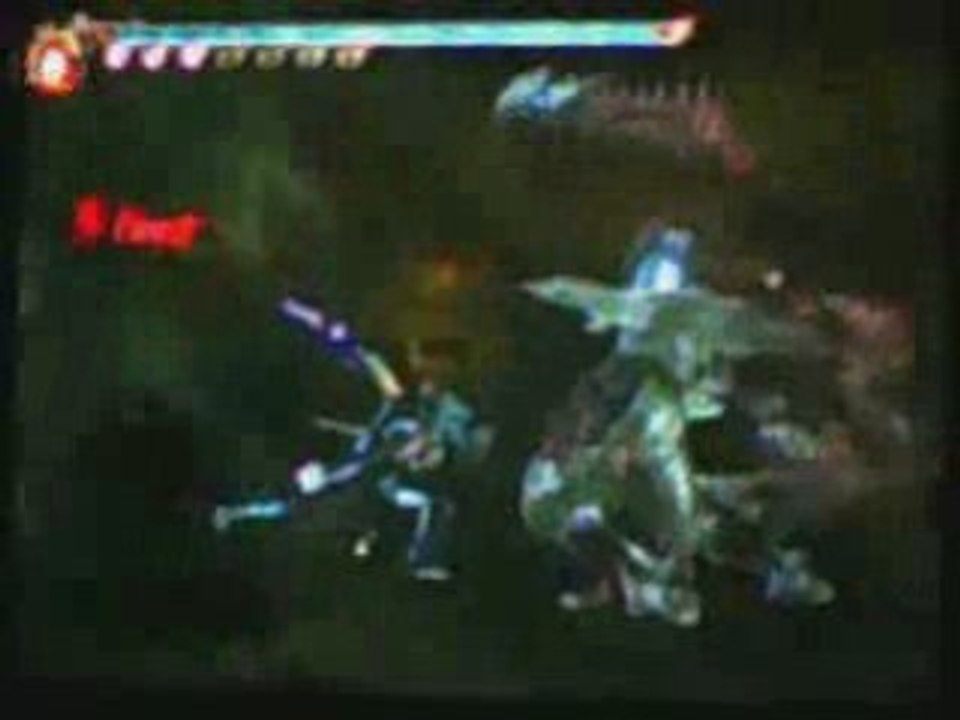 Ninja Gaiden II