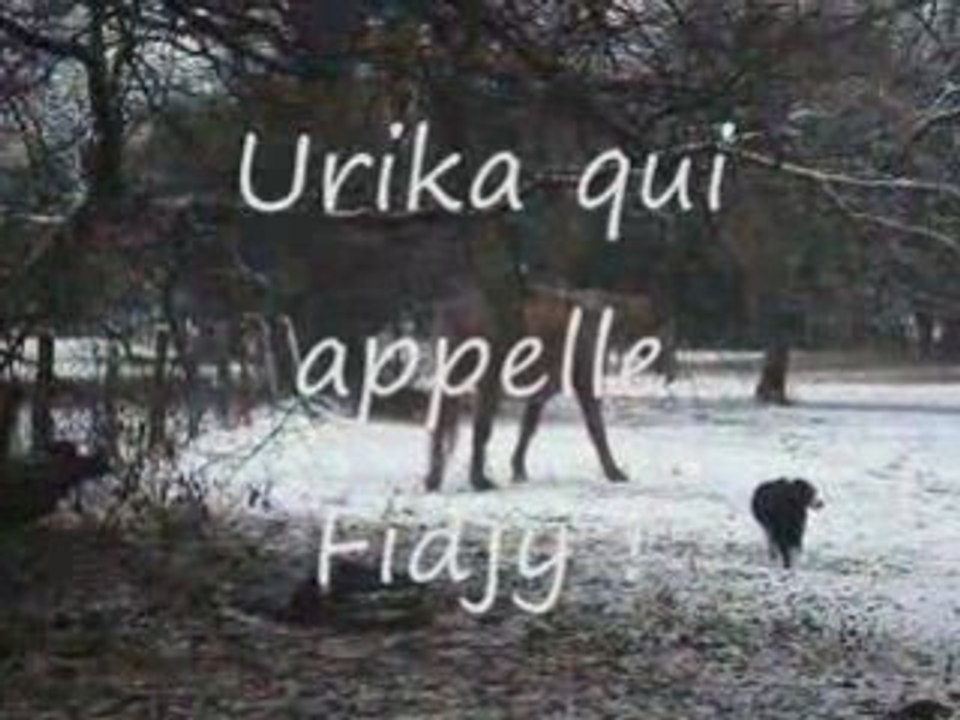VIdeo en vrac du 18 janvier 2009