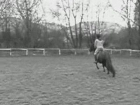 Scéance Obstacle avec Ma ponette