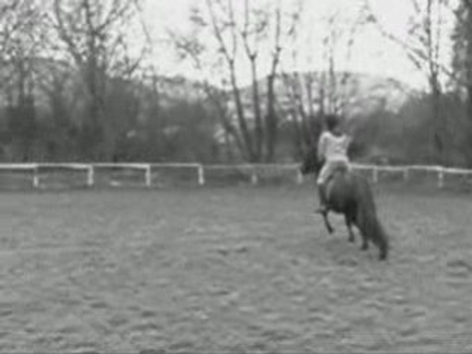 Scéance Obstacle avec Ma ponette