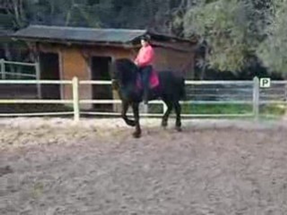 Frison Epke Ster