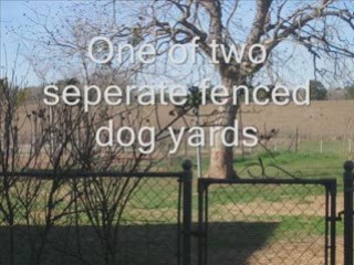 Horse property in Smithville Texas