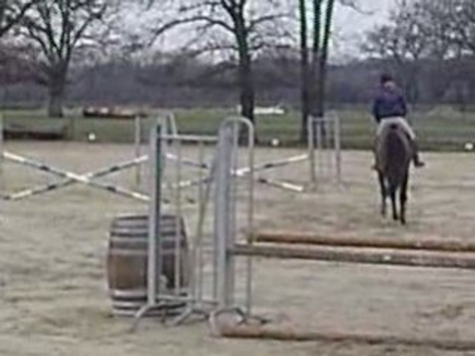 qalex