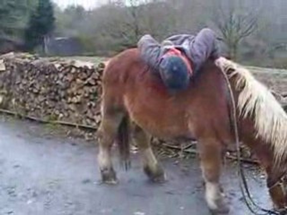 Défi 13