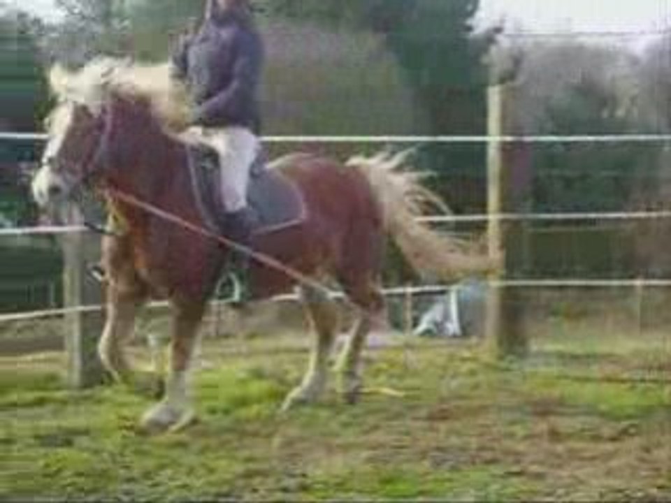 Medee 18-01-09