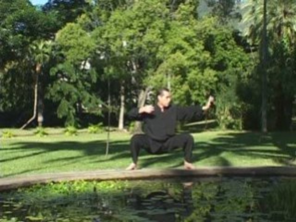 Qi gong  8 brocarts de soie