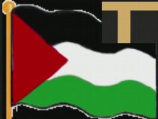 PALESTINE CARICATURES