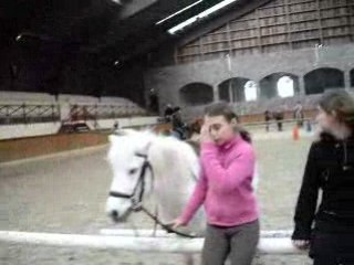 Moii Et SpiiRit Au Galop