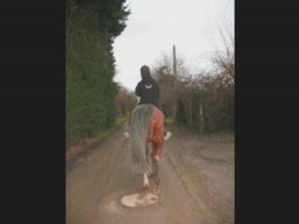Ballade Chayton Lana_0001