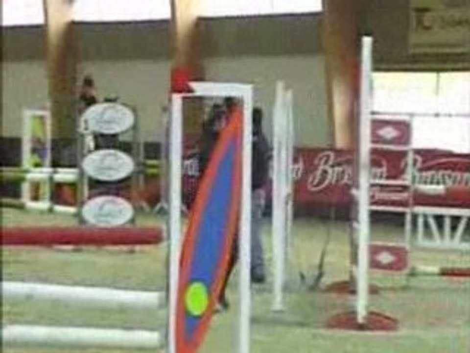 Instable - 18/01/09 - St Aubin sur Gaillon - C1p barrage