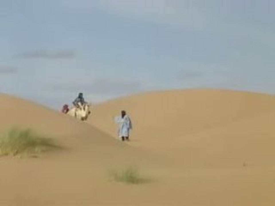 Climat désertique