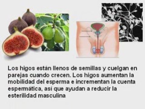 Productos ecologicos
