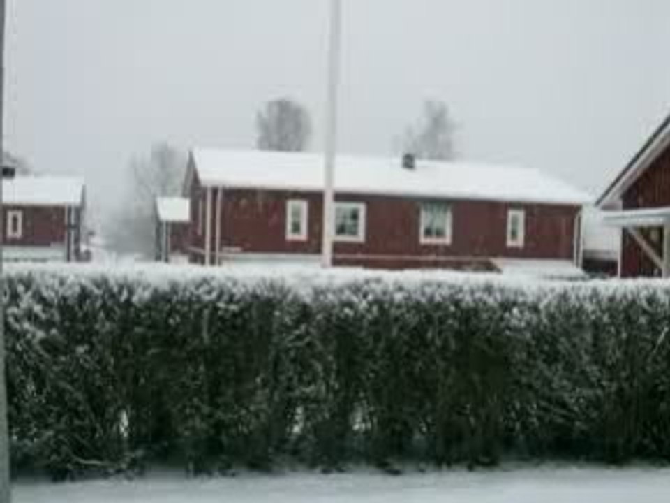 snowsnowsnow