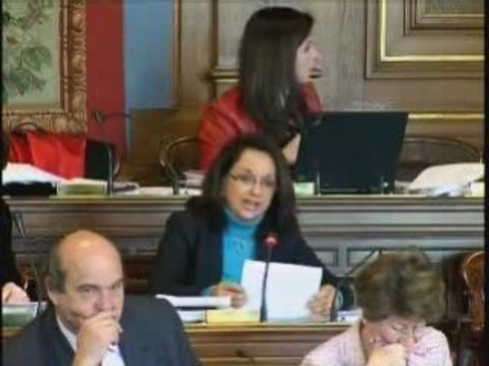 Fabienne Gasnier au Conseil de Paris le 24 novembre 2008