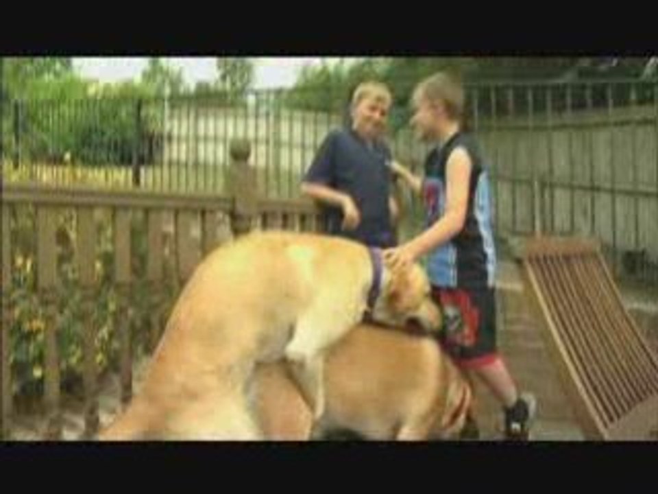 C'est le chien ou moi - Discovery Real Time