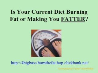 Lose Weight Dieting Burn Body Fat Lose Weight Fast