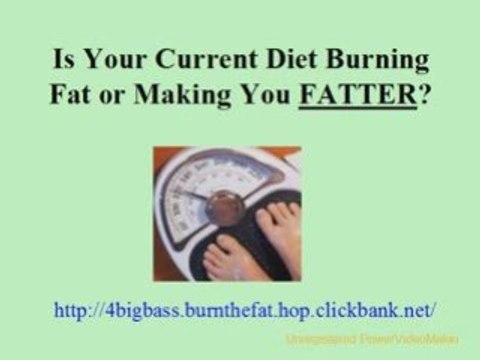 Lose Weight Dieting Burn Body Fat Lose Weight Fast