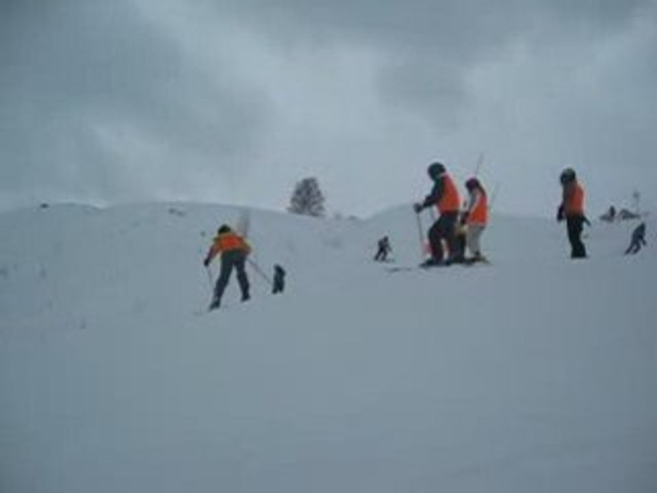 Ski1