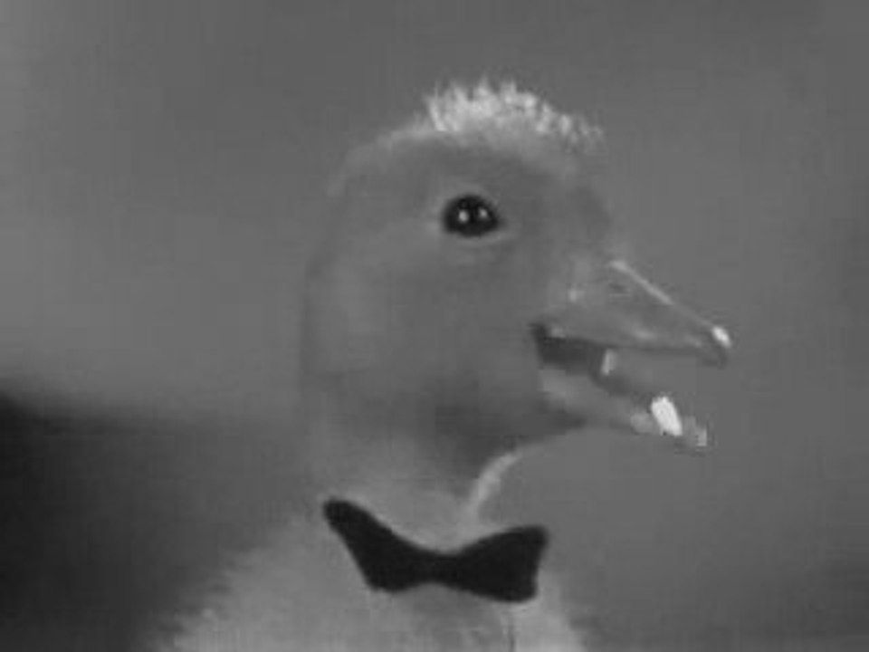 SATURNIN