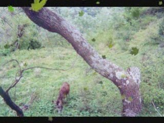 ait-tizi la colline oubliée
