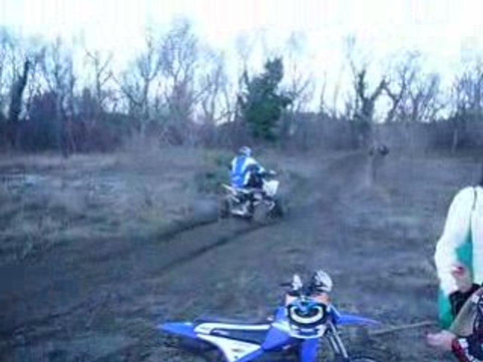 QUAD LTR 450