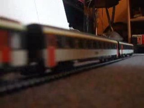 Rame corail golden series