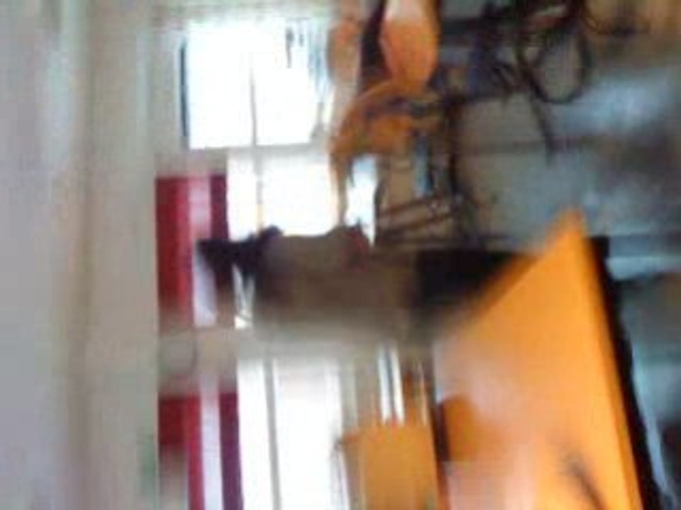 MOV00756