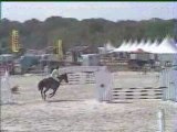 Fiston II au championnat de france lamotte 2006 (2)