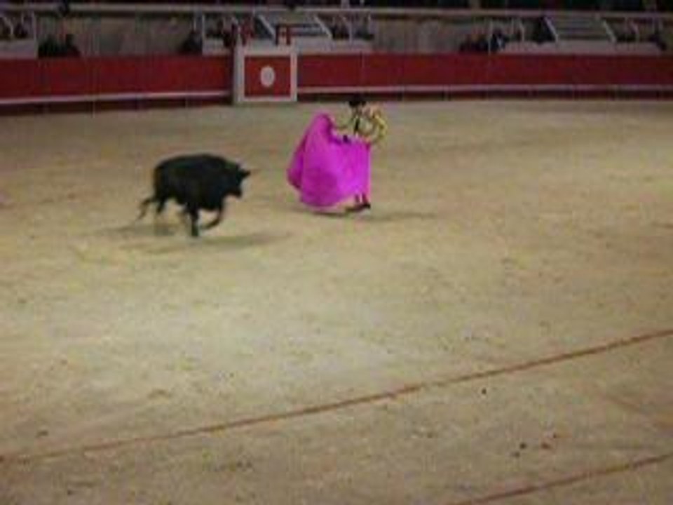 Novillada primavera 2005