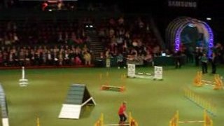Agility at CRUFTS by Pet Hunting