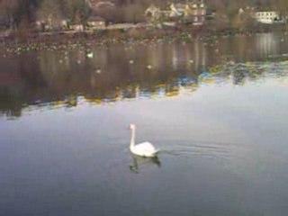 PICT0010 Bords de Seine en Hiver