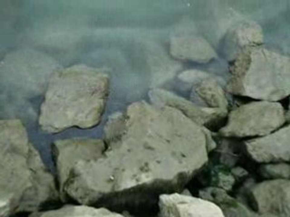 IMGP0867