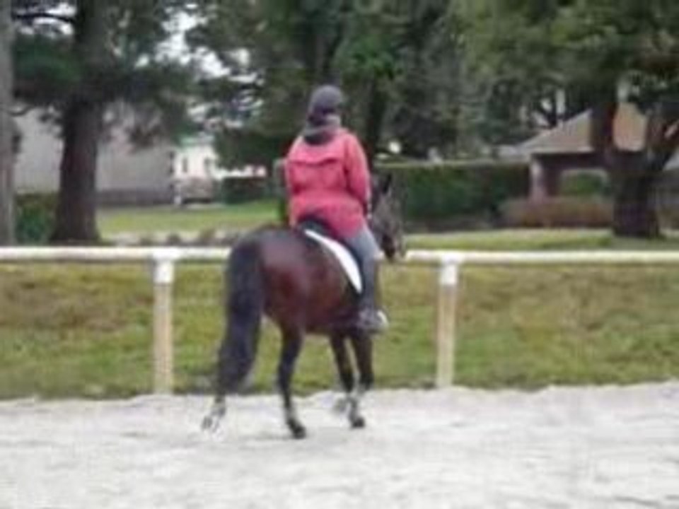 1er Essai Rap Février 2009 - Cerise