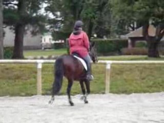 1er Essai Rap Février 2009 - Cerise