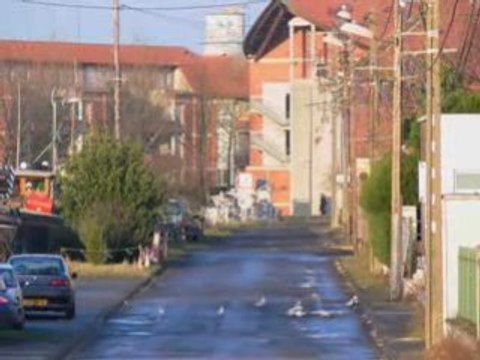 Bientôt un port de plaisance sur l'îlot Folien ?