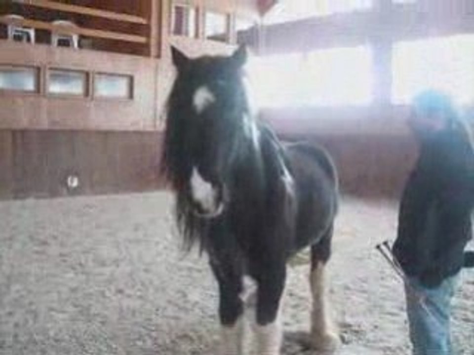 Stage première partie!_0001