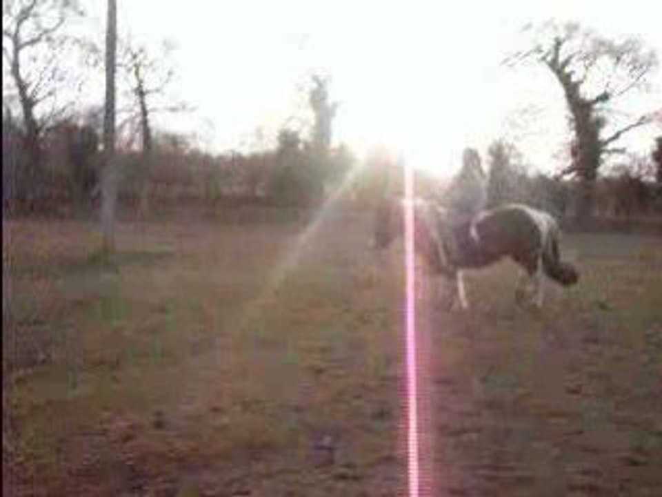 Malice & Moi mini cabrage raté