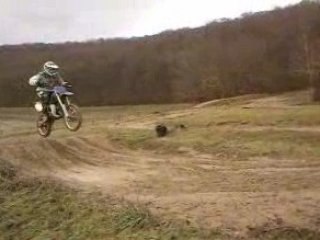 85 yz  les wooPs