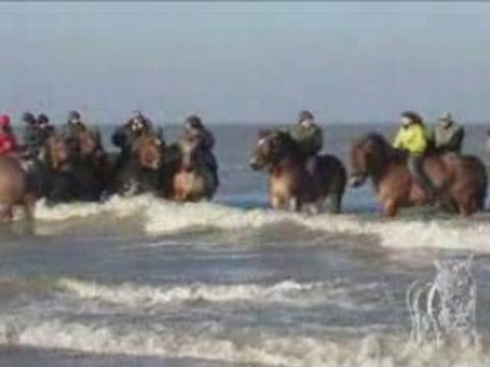 Les chevaux de trait sur la plage, Knokke