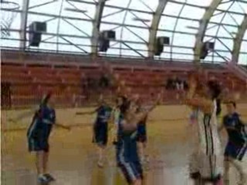 Dombasle basket