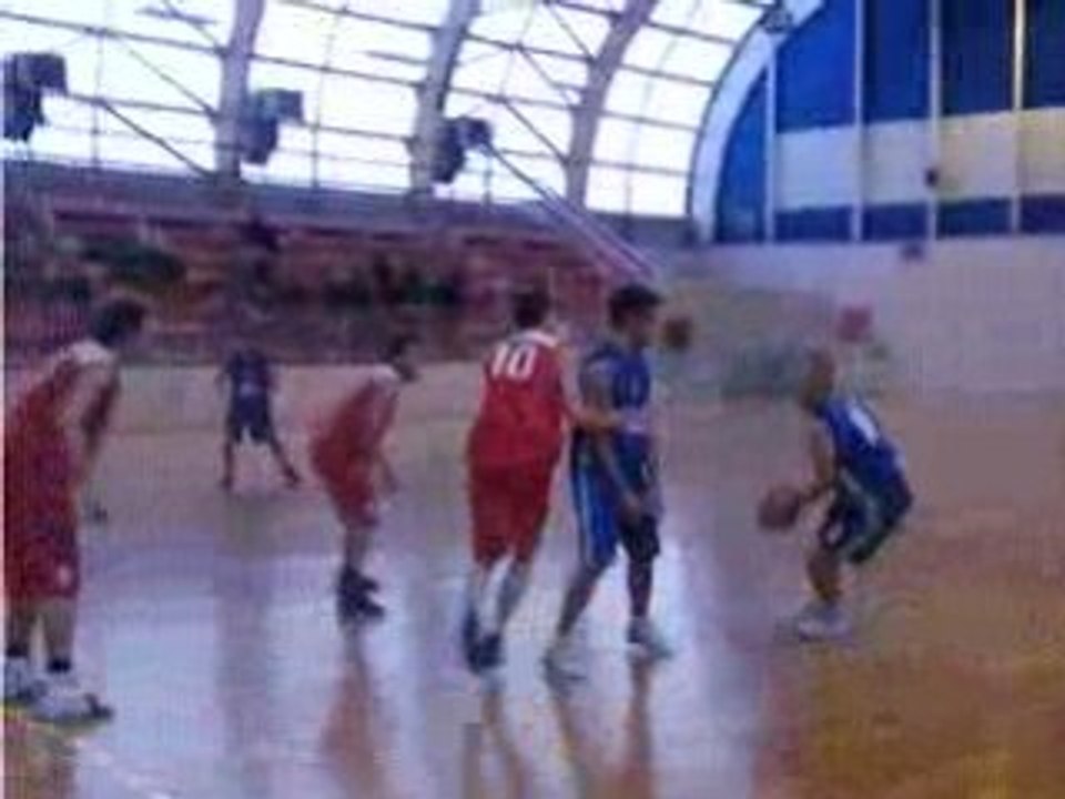Dombasle basket