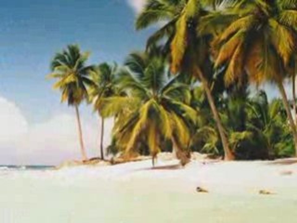 Une ile