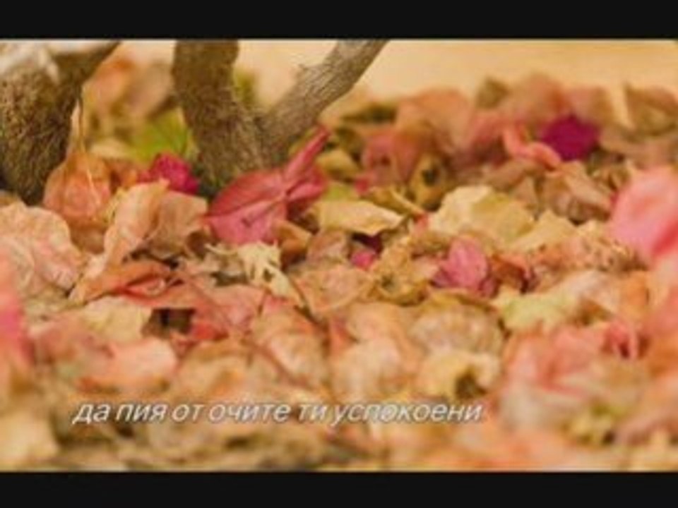 СРЕЩА,Дамян Дамянов