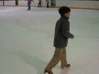 Ice Skating Oak Park !!