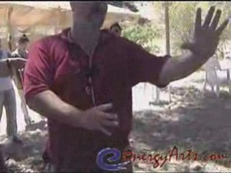 Principle Ba Gua Hand Postures Single Palm Change