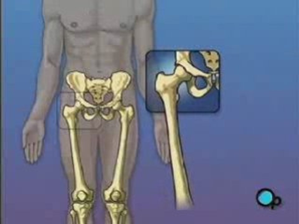 PreOp Surgery Centers