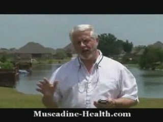 Living Water Purifier