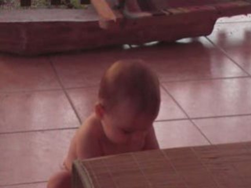Assise