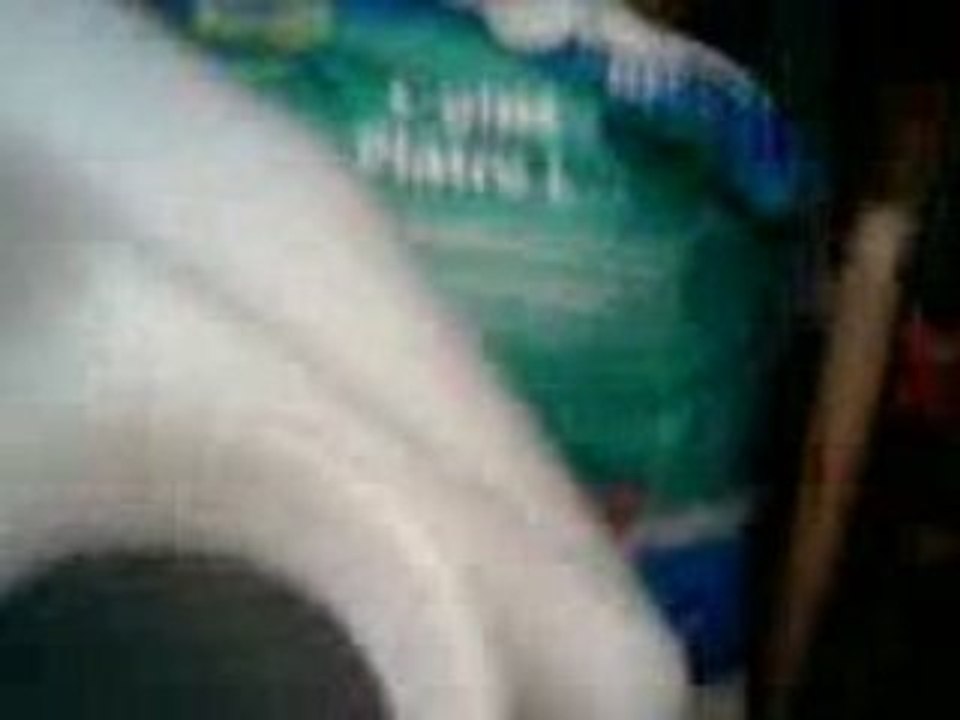 Abri De Jardin Party!